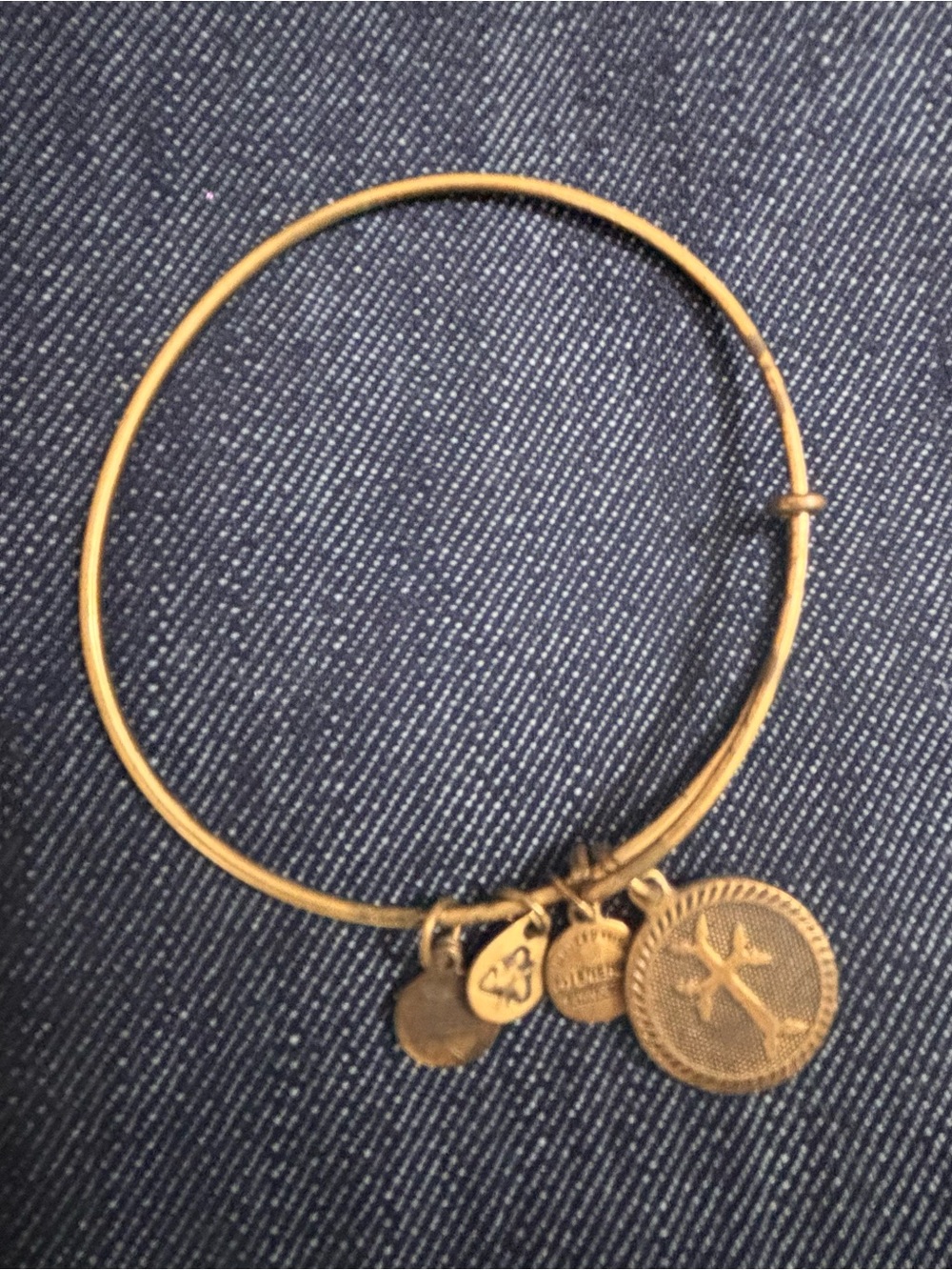Alex and Ani Gold Charm Bangle Bracelet